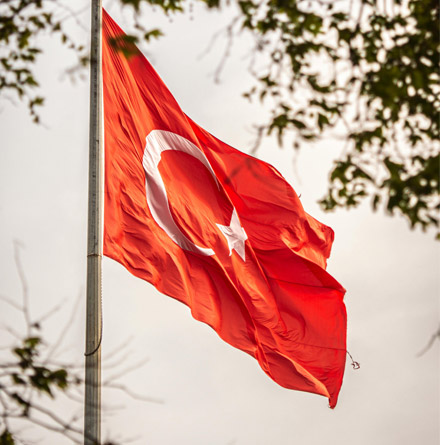 Брак с гражданином Турции